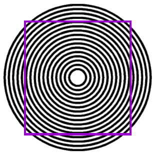 Spiral Illusion